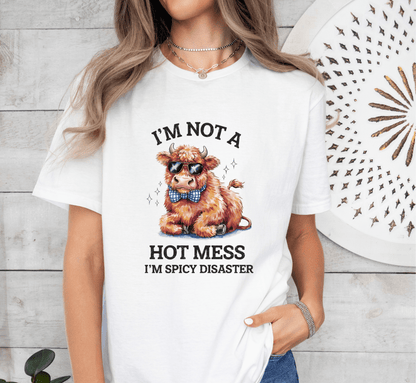 T-Shirt I'm Not A Hot Mess T-Shirt