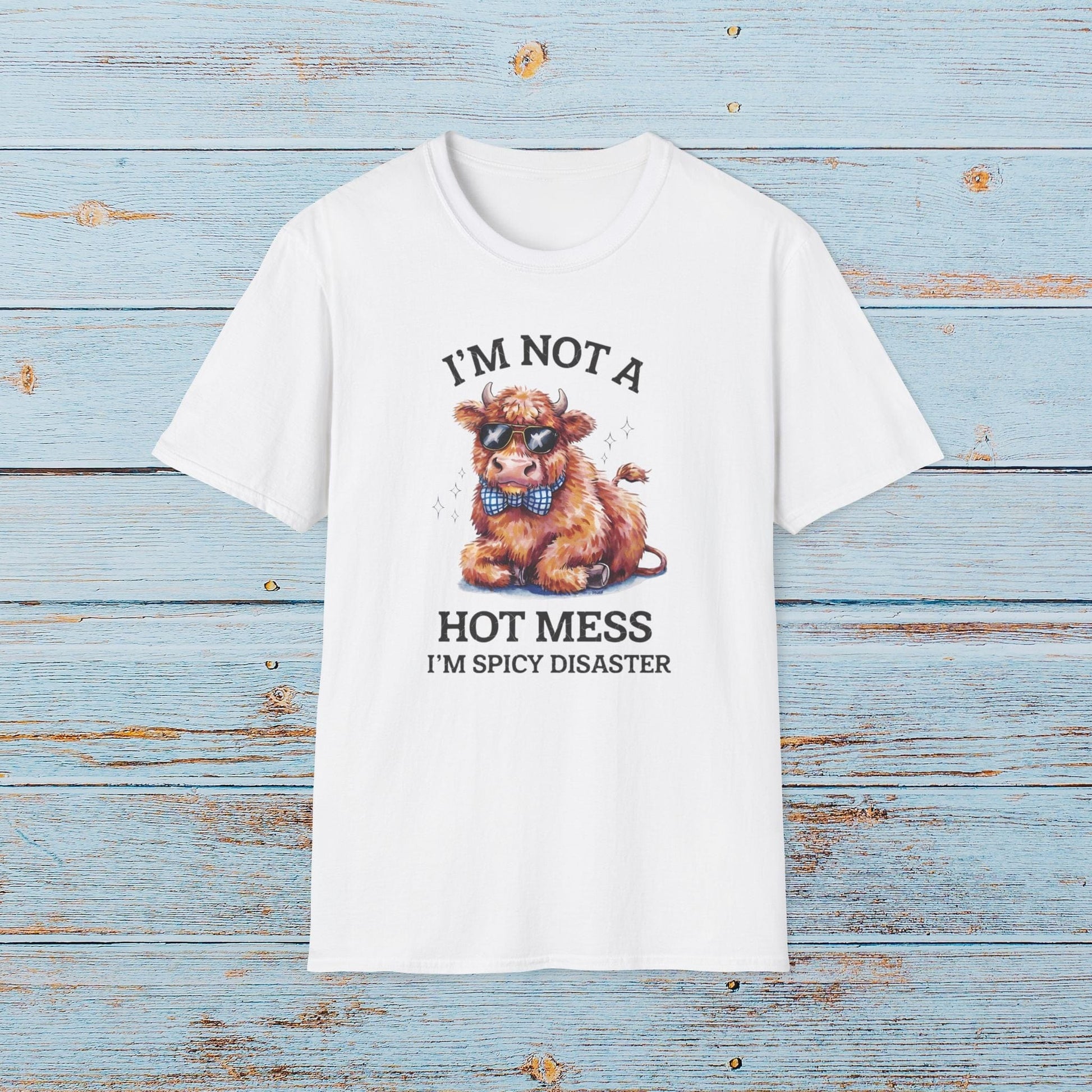 T-Shirt I'm Not A Hot Mess T-Shirt