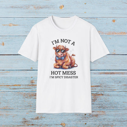 T-Shirt I'm Not A Hot Mess T-Shirt